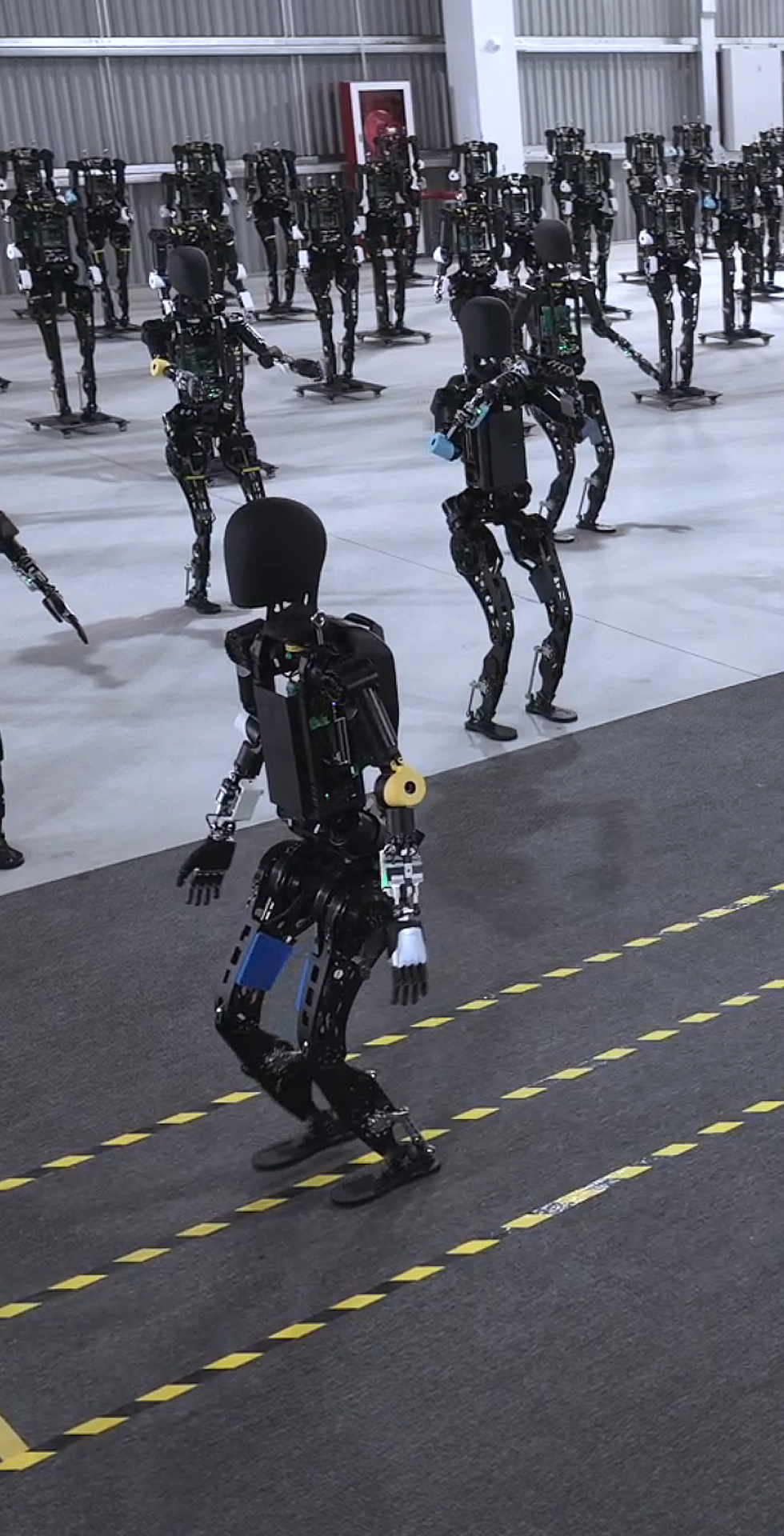 z6.com开启通用机器人商用量产